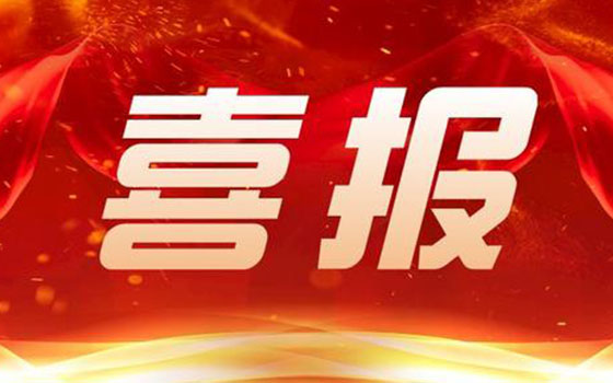 热烈庆祝我司官网上线